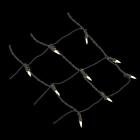 0029944562887 General Led Cool White Dome Twinkle Net Christmas