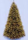 009312493258 National Tree 12 Downswept