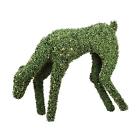 009312835508 Northlight 42 Pre-lit Boxwood Feeding