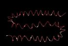 031901939632 Starlite Creations New Cordless Ft Metallic Braided Garland