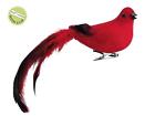 093422655521 Allstate Natures Glow Feathered Red Song Bird Christmas