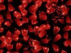 115861 Monoprice Count Led String Light Red 889028039700