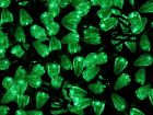 115862 Monoprice Count Led String Light Green 889028039717
