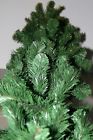 12-pack Seasonal Sensations 9 X 16 Green Grand Colorado Christmas Garland