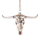 120977 Midwest-cbk Skull Glass Ornament 738449440919
