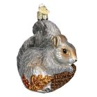 7293433 12277 Old World Christmas Hungry Squirrel Glass Ornament 729343122773