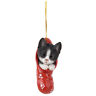 7265493 12469 Pacific Giftware Kitten In Holiday Sock Decorative Festive 726549124693