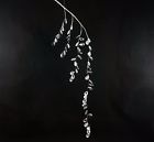 15010362z Unbranded Pack Of Acrylic Gem Swag Floral Wedding 665760000204