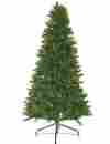 17103146 Darice 6 Pre-lit Canadian Pine Artificial Christmas Tree Candlelight Led Lights 762152235869