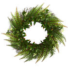 186961b8703841c7827c32a48096c55c Gracie Oaks Assorted Fern Wreath 192459667269