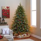 190093010984 Unbranded-generic Holiday Time Pre-lit