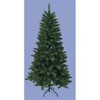 1915402 Kurtadler Green Pine Tree