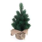 1915407 Kurtadler Green Pine Tree