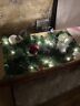 2005074 Cg Hunter Prelit Decorated Garland Led Lights Pine 810645030528