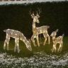 2081181 The Lakeside Collection Lighted Deer Family Outdoor Christmas 190941333142