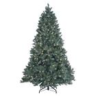 Peddb4-w02-75 209204 National Tree Co-import 729083545801