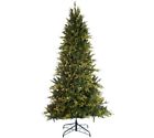 209271-1030-10700 Bethlehem Lights 9 Prelit