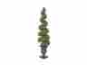 22658lo General E Ectric Ge 5ft Pre-lit Just Cut Boxwood Spiral Entry Way Tree 803993226583