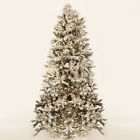 244338 Direct Export Company Inc 9 Foot Flocked Cascade 886505443388