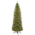 277ffpt100c65 Puleo International Seasonal Dcor Fraser Fir Pencil Tips 804606703323