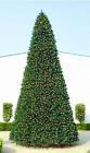 28522713 Christmas Central 24 Giant 762152407181