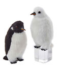 30504364100000 Kurt Adler Plush Penguin 086131403651