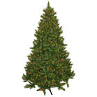 31254 Fortune Bliss Christmas Trees 615662131254