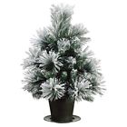 31539350  Allstate Potted Snowy Flocked Mixed Pine Artificial Christmas 000031106269