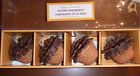 3168325 Pottery Barn Kids Fabric Acorn Ornament Set New Pc Fall