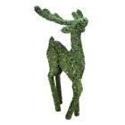 31742328 Northlight Seasonal Pre-lit Boxwood 093422246330