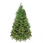 31752972 Northlight 7.5 Pre-lit Noble Fir