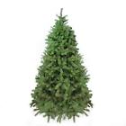 31752976 Northlight 7.5 Noble Fir Full