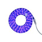 32228256 Northlight Blue Led Christmas Rope Lights Home Improvement 093422748094