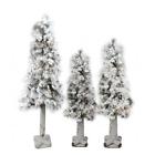 32270786 Northlight Pre-lit Flocked Woodland 033849856668
