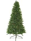 32913269 Northlight Canadian Pine Artificial Christmas Tree Multi Lights 193228040023