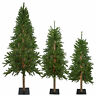 33532710 Northlight Alpine Artificial Christmas Trees Clear Lights 193228374890