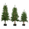 33532719 Northlight Set Of Alpine Artificial Christmas Trees Unlit 193228374913