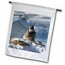 35243 Fl Blue Jay On Rock In The Winter 499013042013