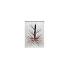 37396-176 Trees Wreaths Gift Light With Ac Adaptor 738362033809