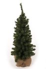 37482dx Direct Export Vienna Slim Mini Tree 031937374827