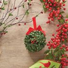 3814152 Raz Imports New Kissing Ball Christmas Ornament
