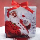 3839419 Raz Imports Santa Cardinal Lighted Print Ornament Canvas Christmas