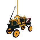 3ot3811wgn Team Sports America Green Bay Packers Football Plastic 808412460098