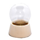40019 Schneekugelhaus Snowglobe For You 4260195491618