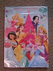 40406 Disney Princess Holiday Countdown Advent Chocolate Calendar Lot Of