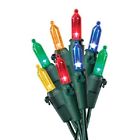 40841-88a Holiday Wonderland Lite Multi Color Led Mini Christmas 052088015513