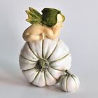 4200 Top Collection Miniature Fairy Garden And Terrarium Baby 610395042006