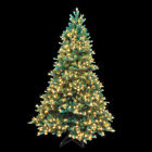 4205106-cp51ac Santas Best Frasier Tree 843518025253