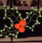 4666053 Home Improvements Lighted Pre Lit Christmas Holly Berry 799789701115