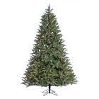 4897065761092 Donner Blitzen Incorporated And